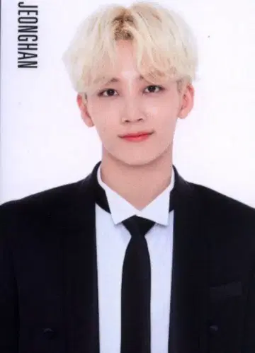SEVENTEEN 2019 Happy Ending SHOWCASE 정한 트레이딩 카드 0029