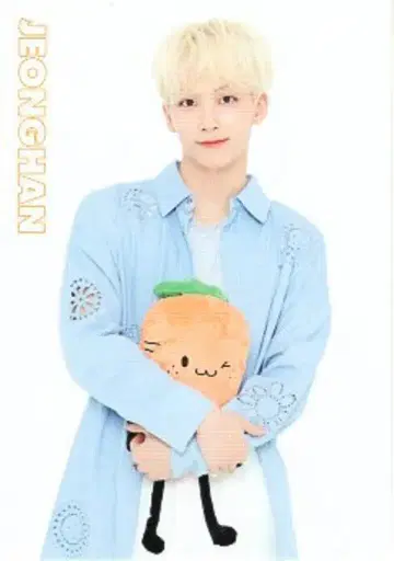 SEVENTEEN 2019 Happy Ending SHOWCASE JEONGHAN 트레이딩 카드 0016