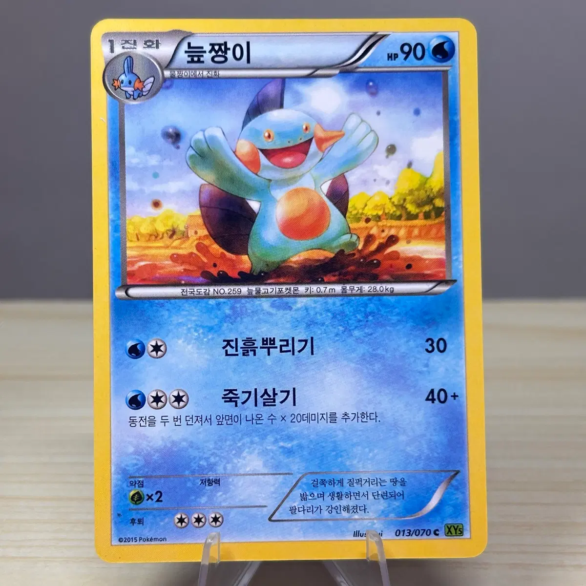 [고대 포켓몬카드] 늪짱이 013/070 C XY5