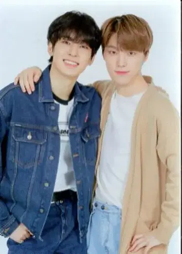 SEVENTEEN 2019 HARU 원우/디노 트레이딩 카드 0084