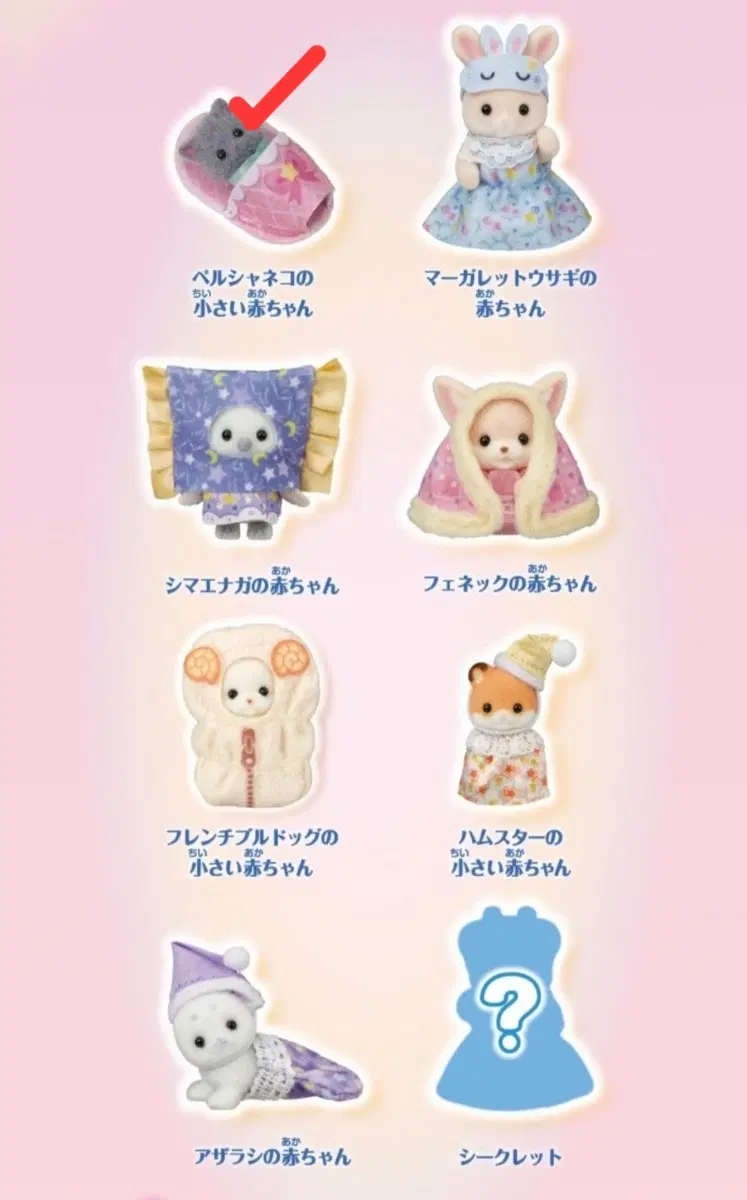 실바니안 쿠지 G상 블백 페르시안 고양이 신생아 블라인드백