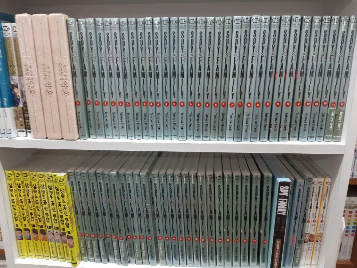 스파이 패밀리 1~17 미개봉 만화짱많아 프로안전상점