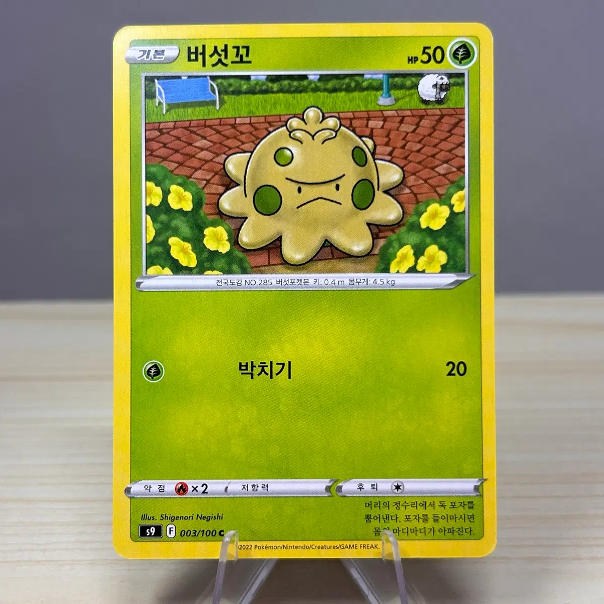 [포켓몬카드] 버섯꼬 s9 003/100 C