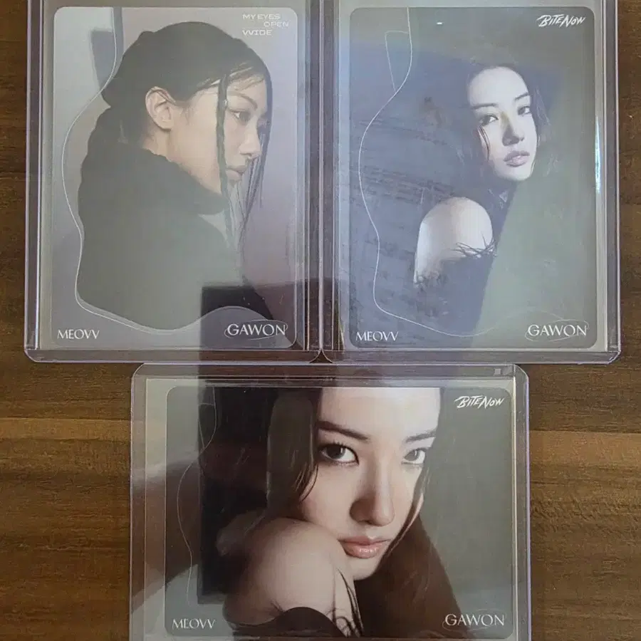 2026 테레카 미야오 컬렉션 카드 가원 카드 일괄