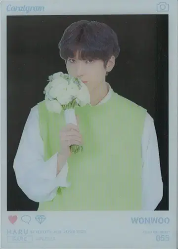 SEVENTEEN 원우 2019 하루 55