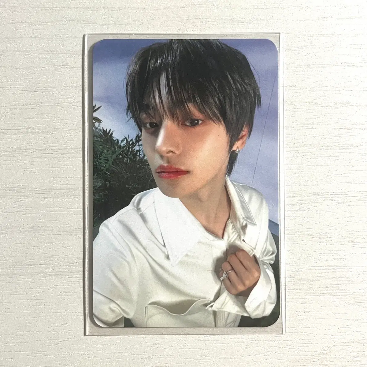 알파드라이브원 알디원 리오 EUPHORIA 특전 포카 양도