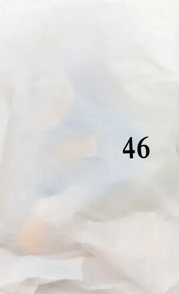 후루타 제과 다카하시 루미코의 세계 시노부 46