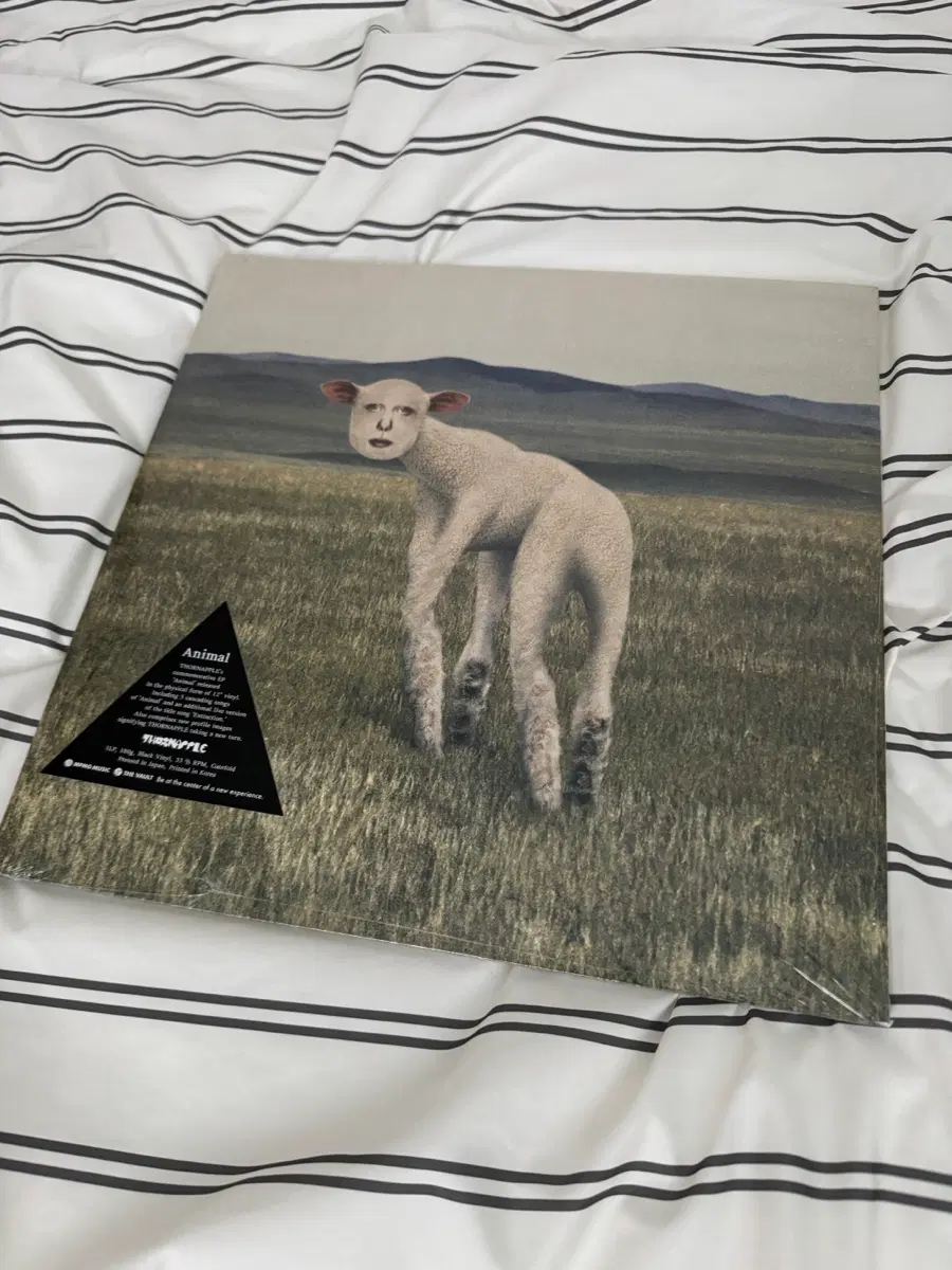 쏜애플 EP 동물 LP 미개봉