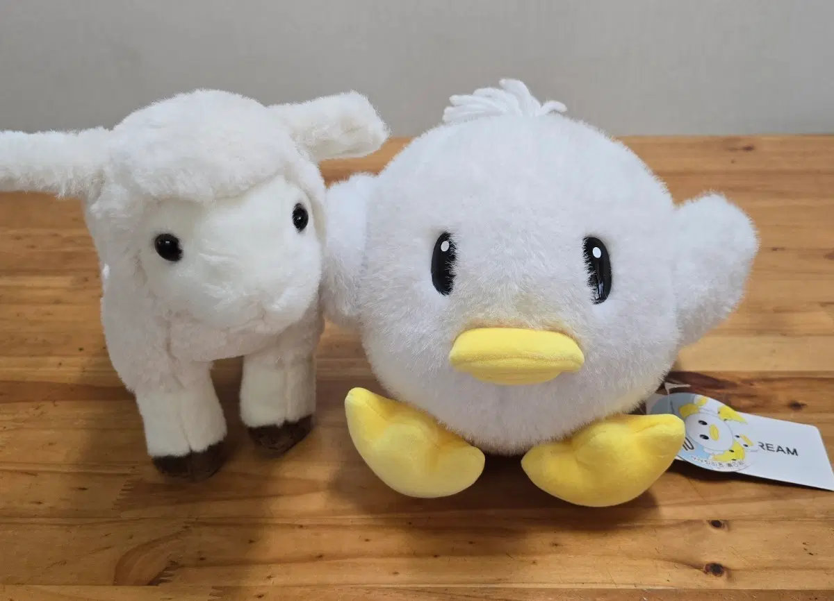 공오리 인형 정품서비스로 알파카 드립니다.