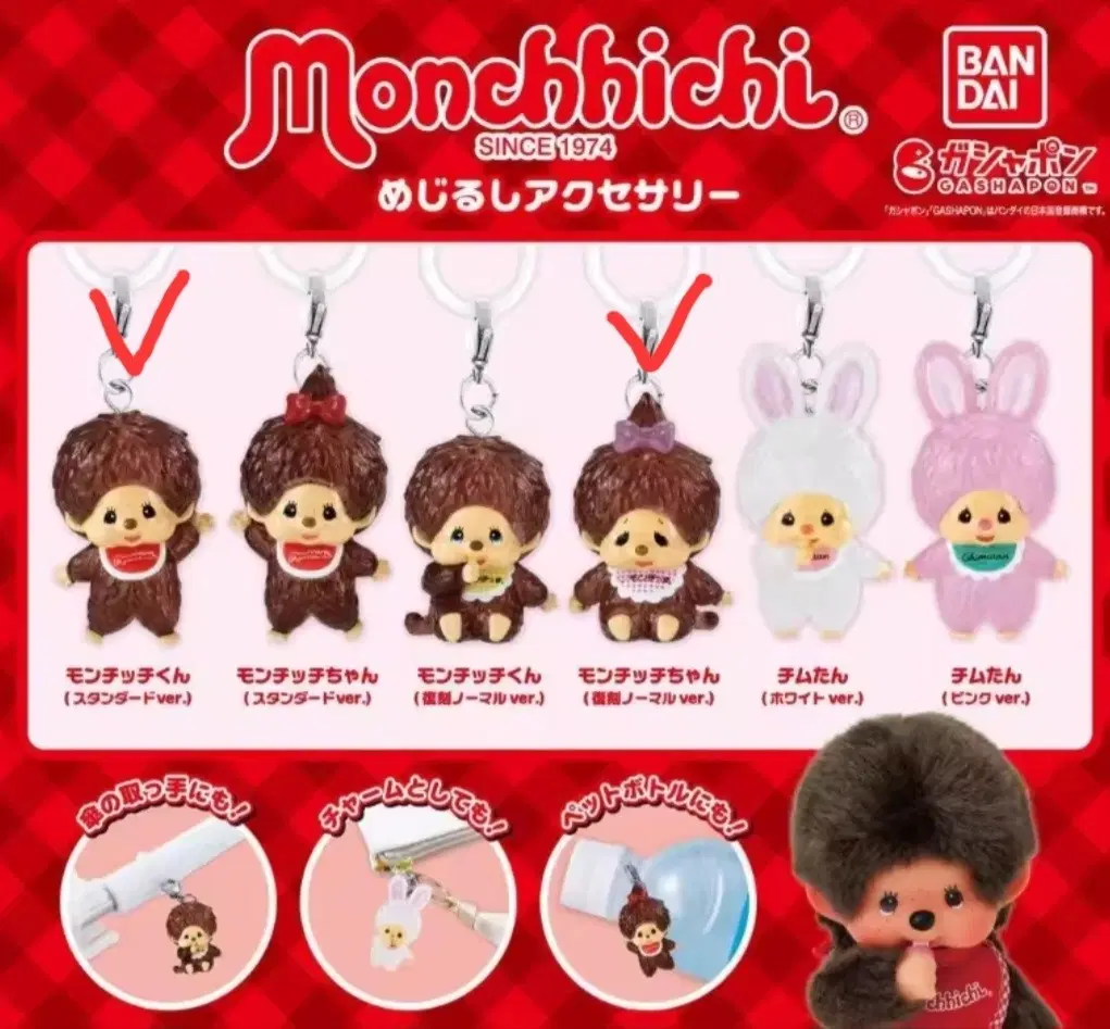 몬치치 메지루시 1탄