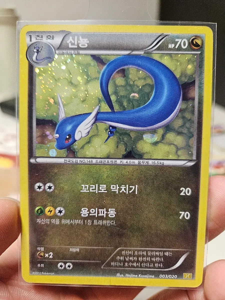 2012 신뇽