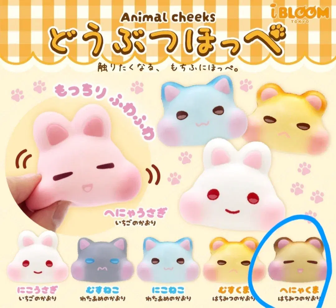 동물볼 말랑이 흐물 곰(꿀향)
