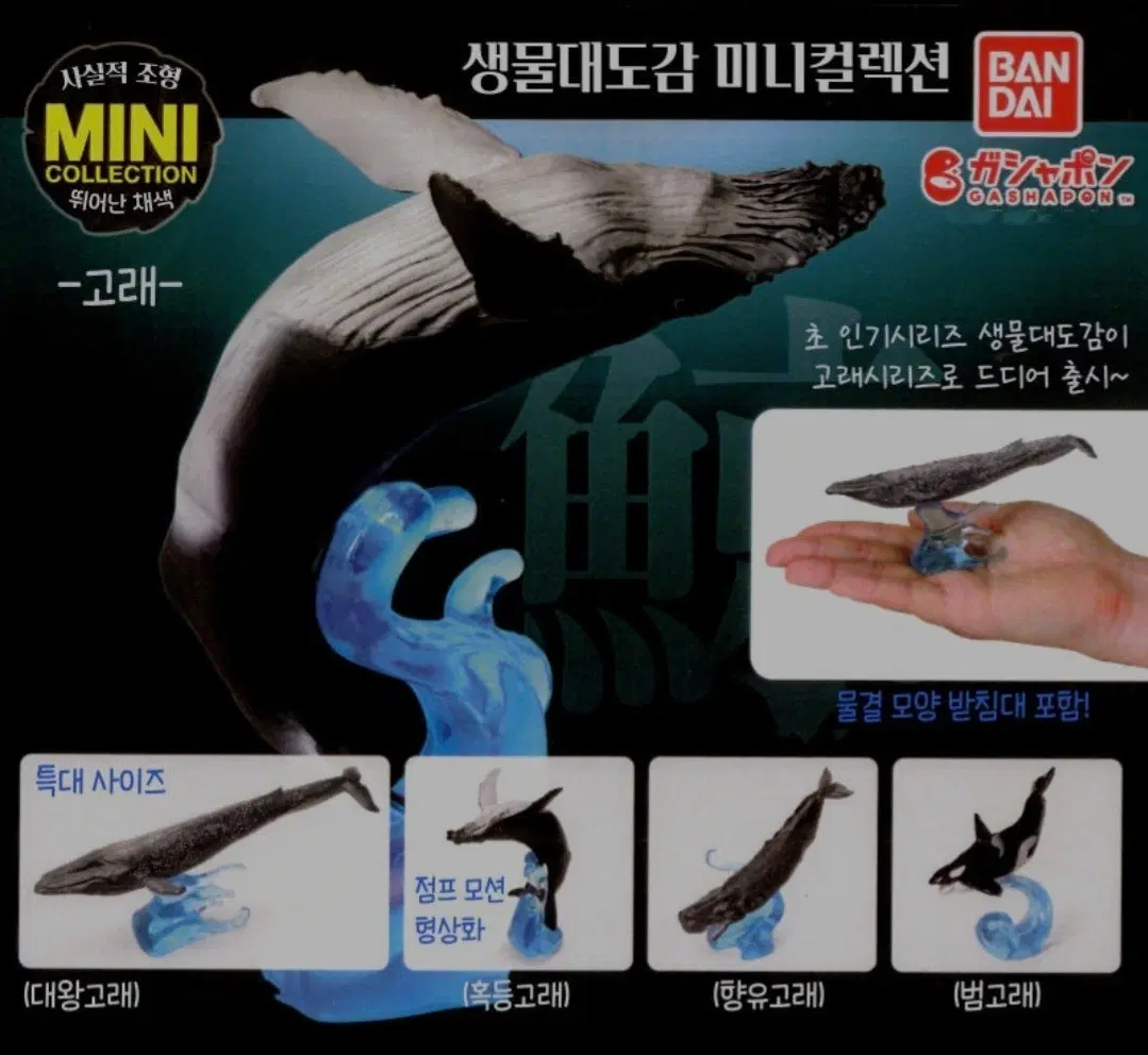 (새상품) 반다이 생물대도감 미니컬렉션 고래 피규어 대왕고래