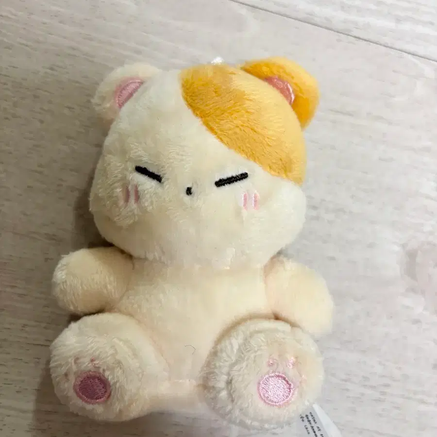 뀨콩 성규 인형