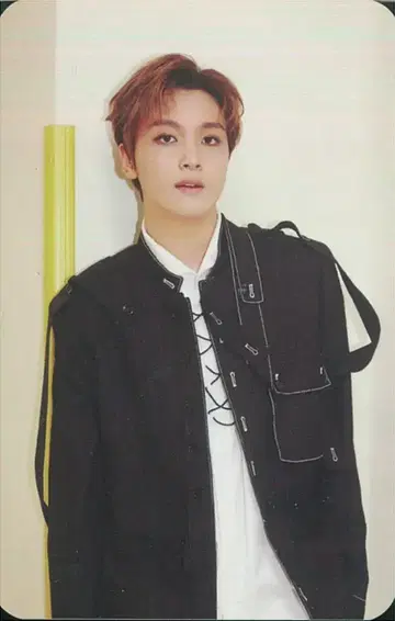 NCT DREAM DVD 봉입 HAECHAN THE DREAM SHOW