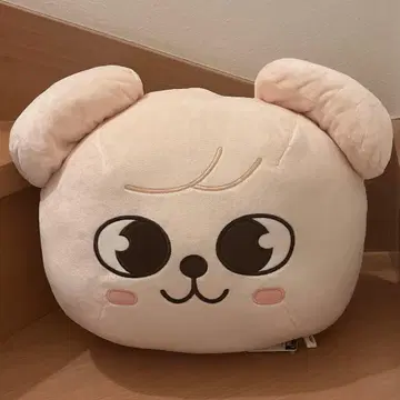 [ Puppy M ] SKZOO GIGO 한정판 돔형 BIG 쿠션 스키즈