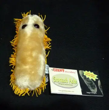 GIANT microbes 복통