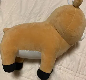 남코 한정 나가노 캐릭터즈 조기 임팔라 BIG 봉제 인형