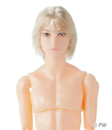 새상품 반려동물 웍스 육분의 일 남자 도감 나인 B2608