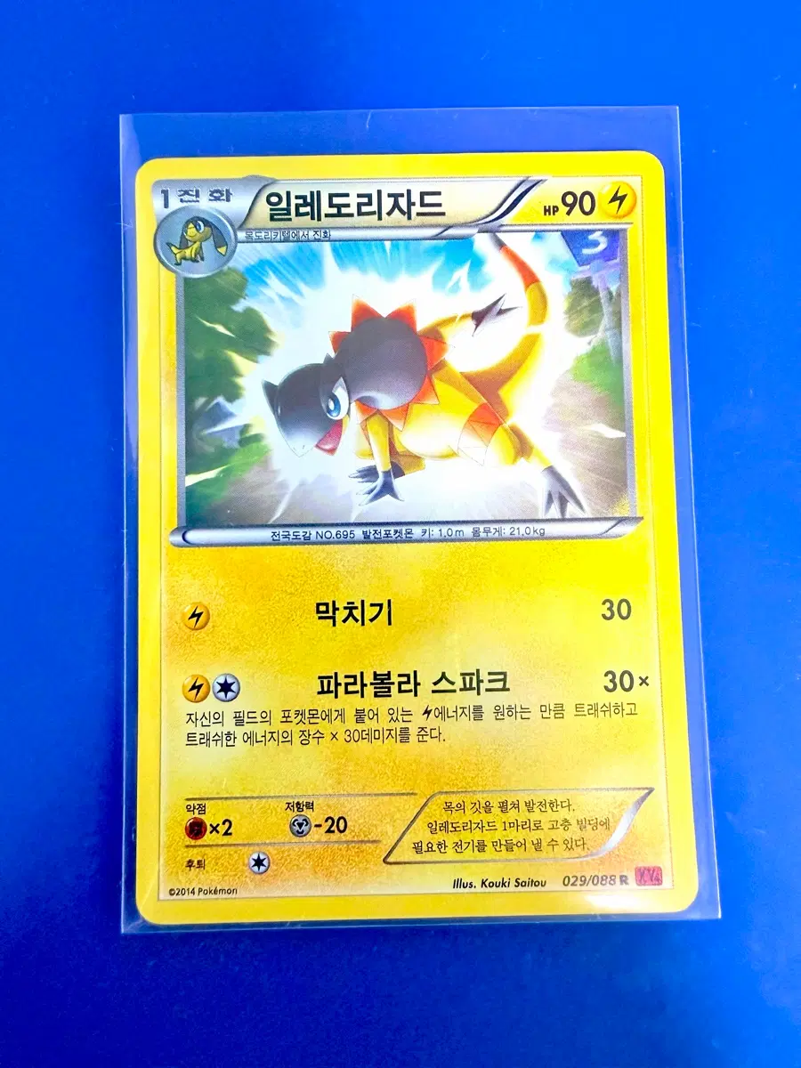 포켓몬카드 2014년 고대카드 XY 일레도리자드 홀로 카드