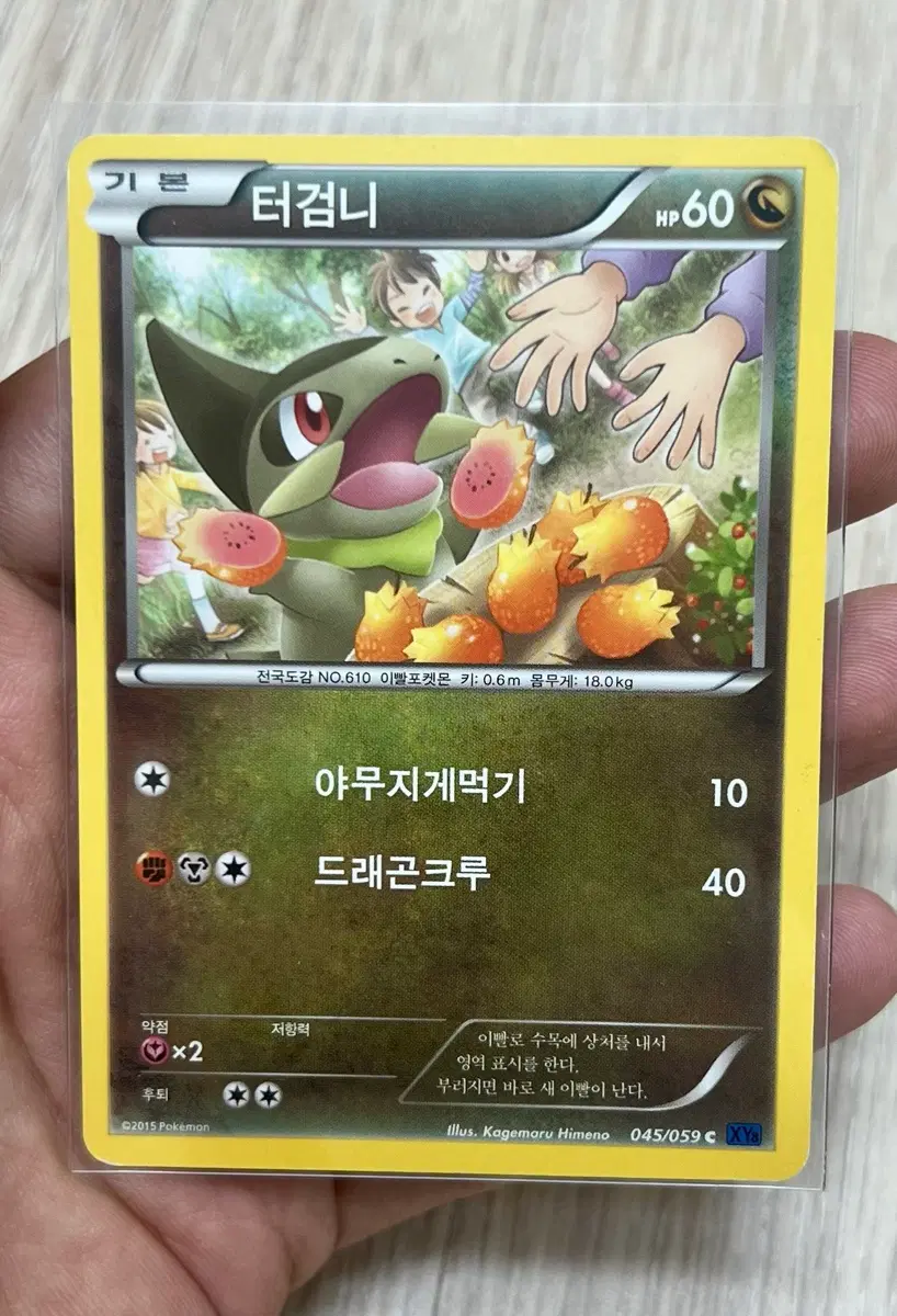 포켓몬카드 터검니 2015년