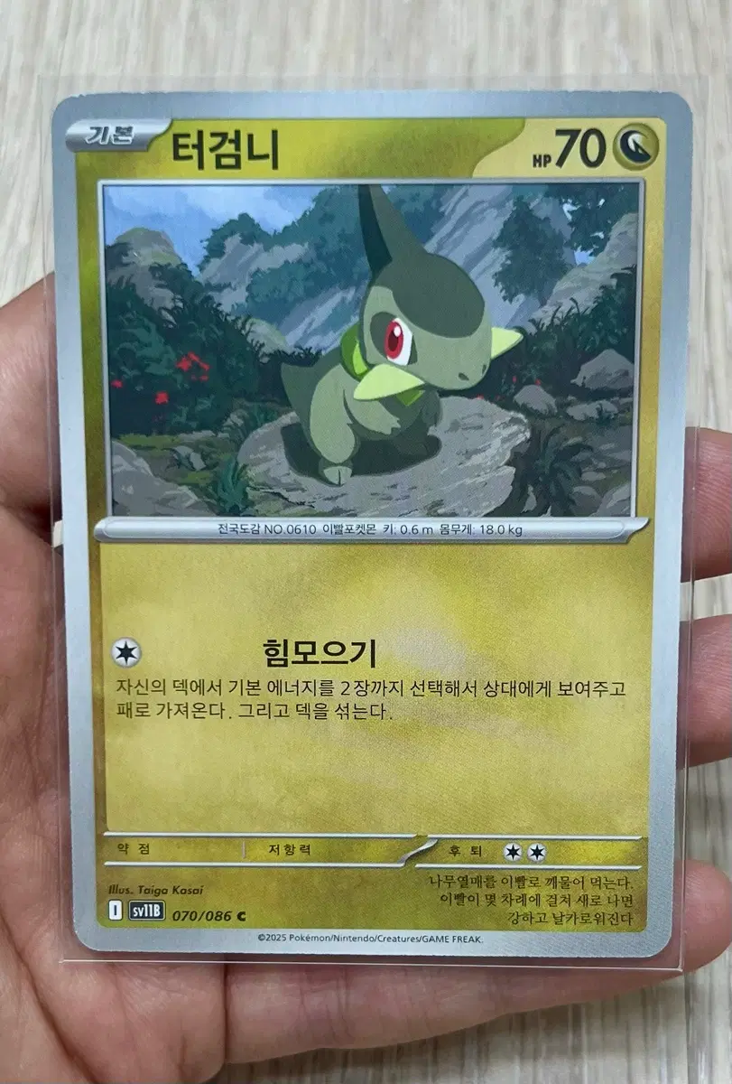 포켓몬카드 터검니