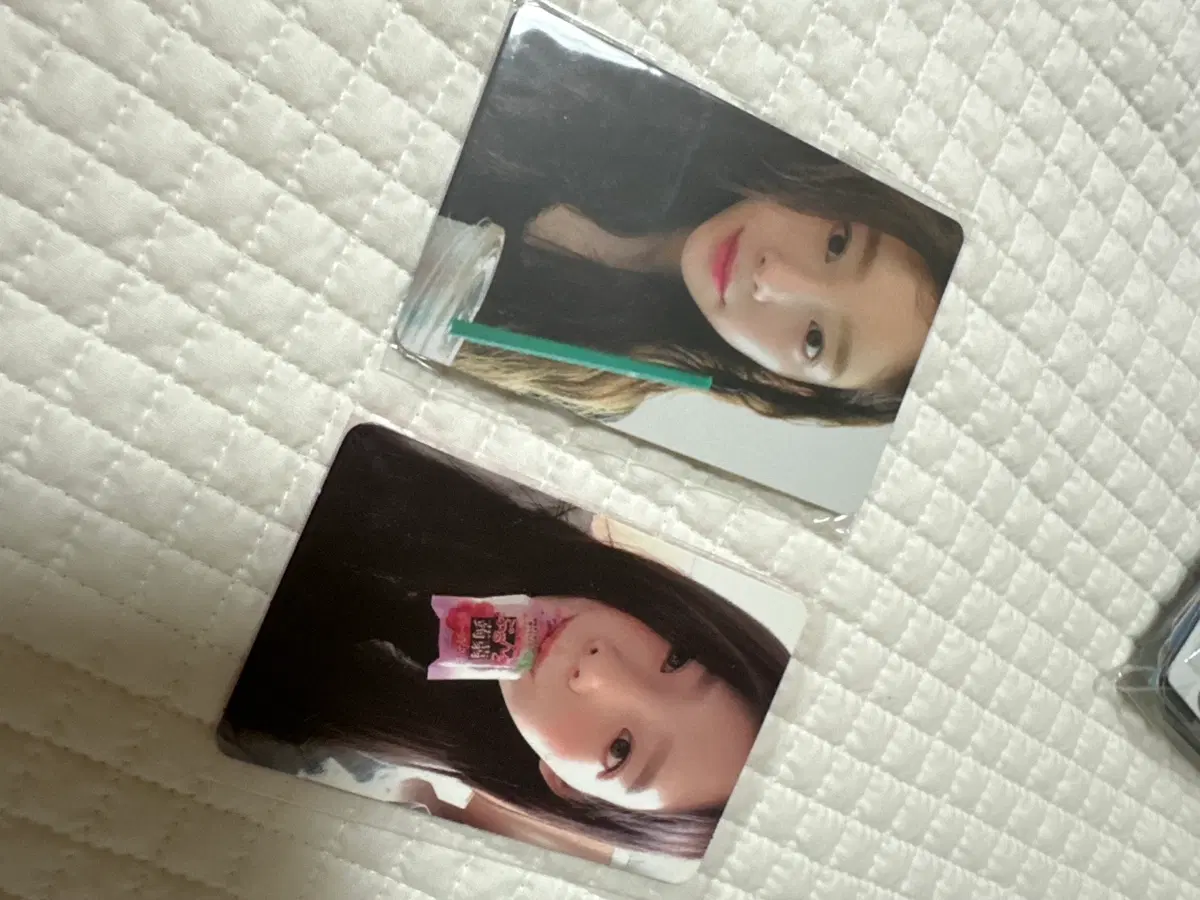 젤리탱 쓱콘탱 포카 양도합니다