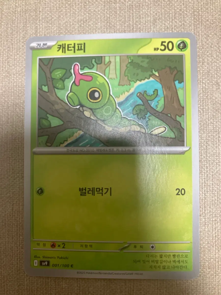 포켓몬카드 캐터피