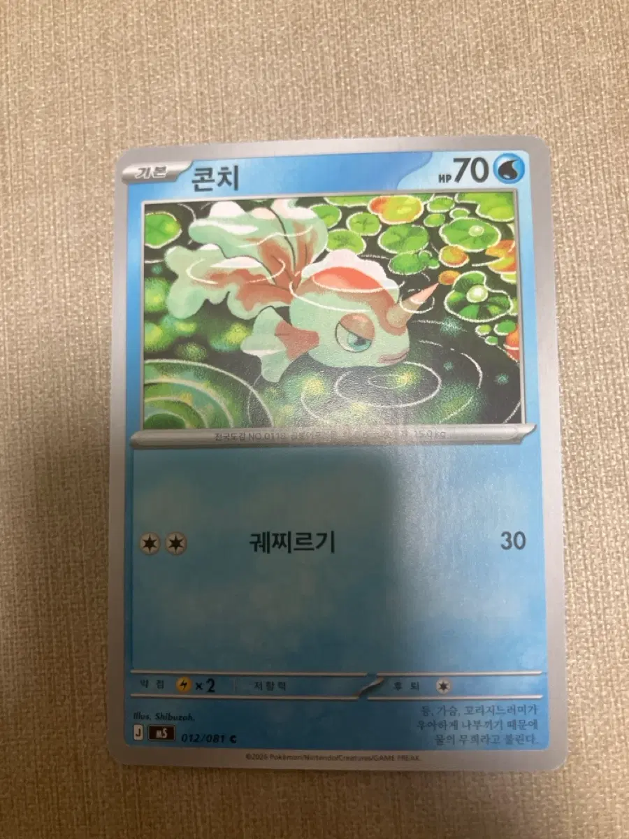 포켓몬카드 콘치