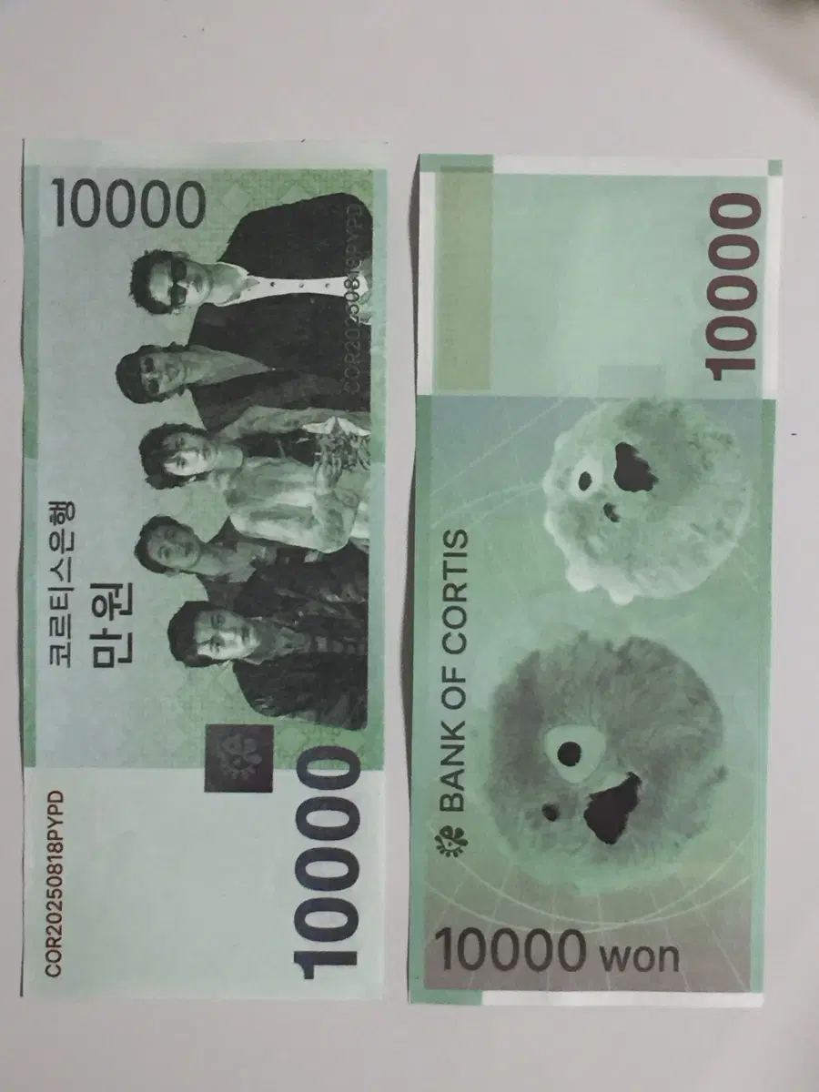 코르티스 돈 컨페티 3장 일괄