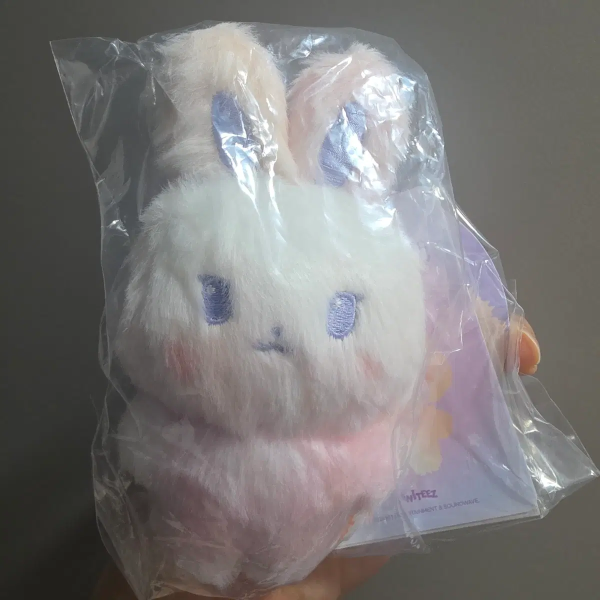 Color mix tiny aniteez doll DDEONGbyeli(+pc)