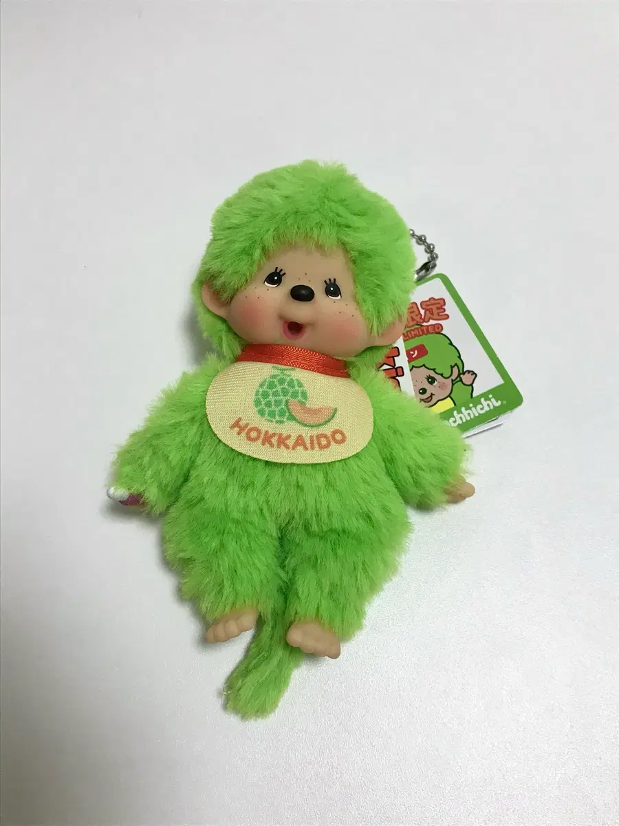 지역한정 홋카이도 멜론 몬치치