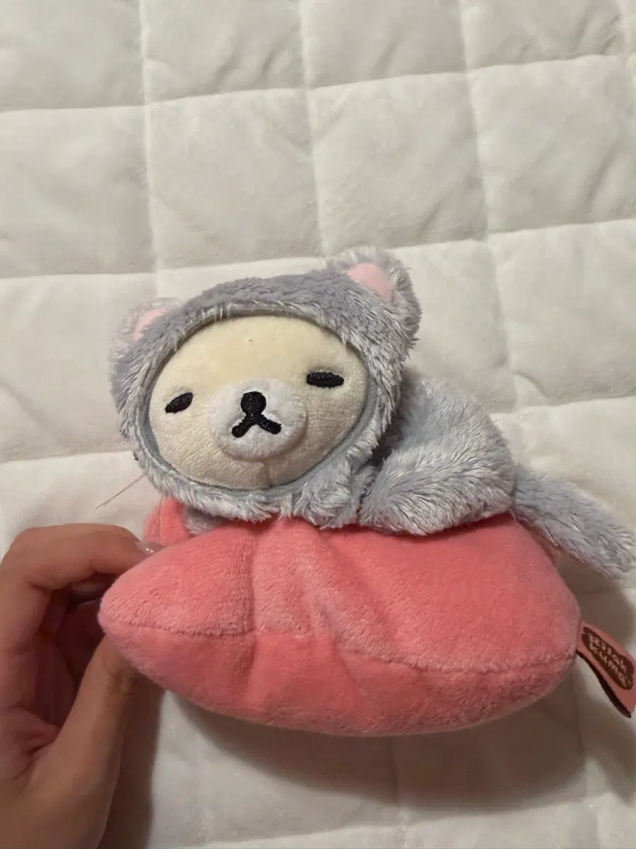 빈티지 고전 코리락쿠마 잠자는 고양이