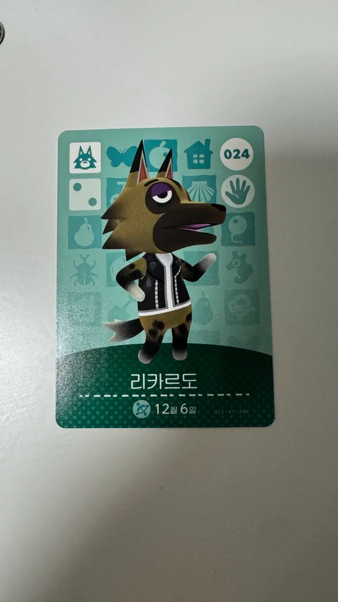 동숲 리카르도 아미보카드