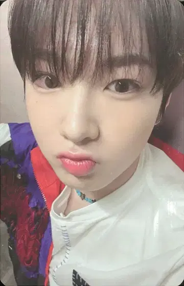 NCT WISH Smini SAKUYA Songbird