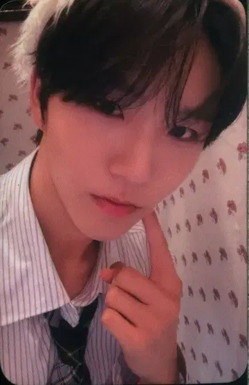 NCT WISH mu-mo JAEHEE WISHFUL