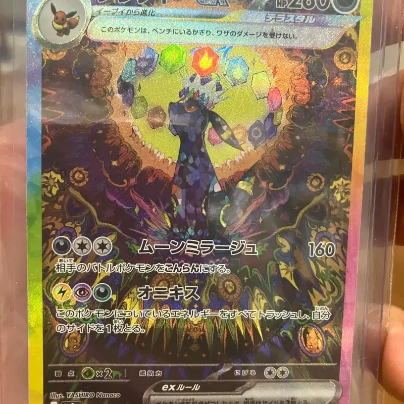 포켓몬카드 TCG 블래키 ex SAR 테라스탈 페스타 ex (일어판)