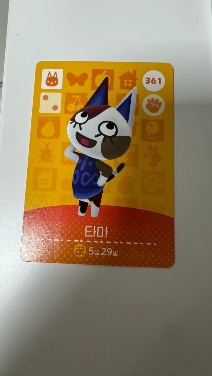 동숲 타마 아미보카드