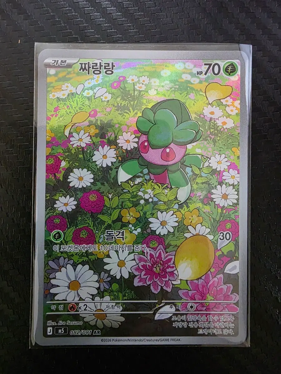 포켓몬카드 짜랑랑 ar