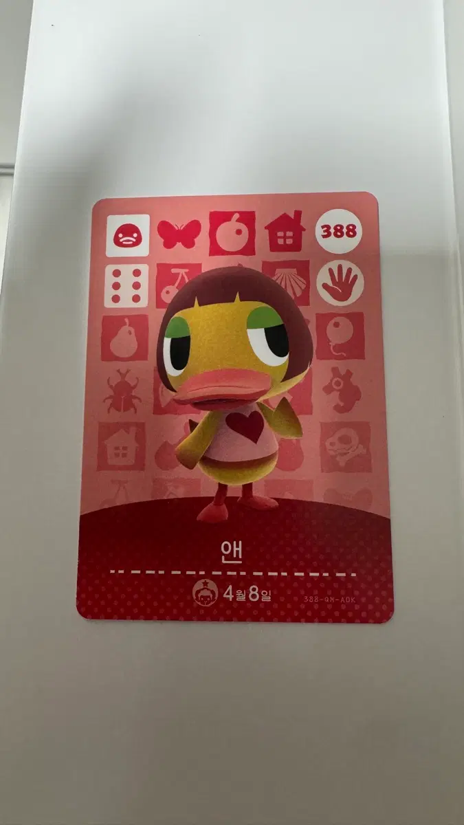 동숲 앤 아미보카드