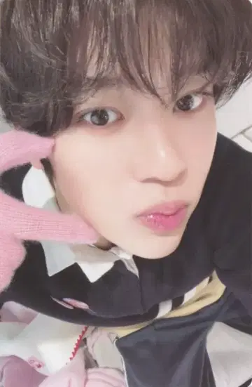 NCT WISH 랜덤 팩 시온 2024 핑크 크리스마스