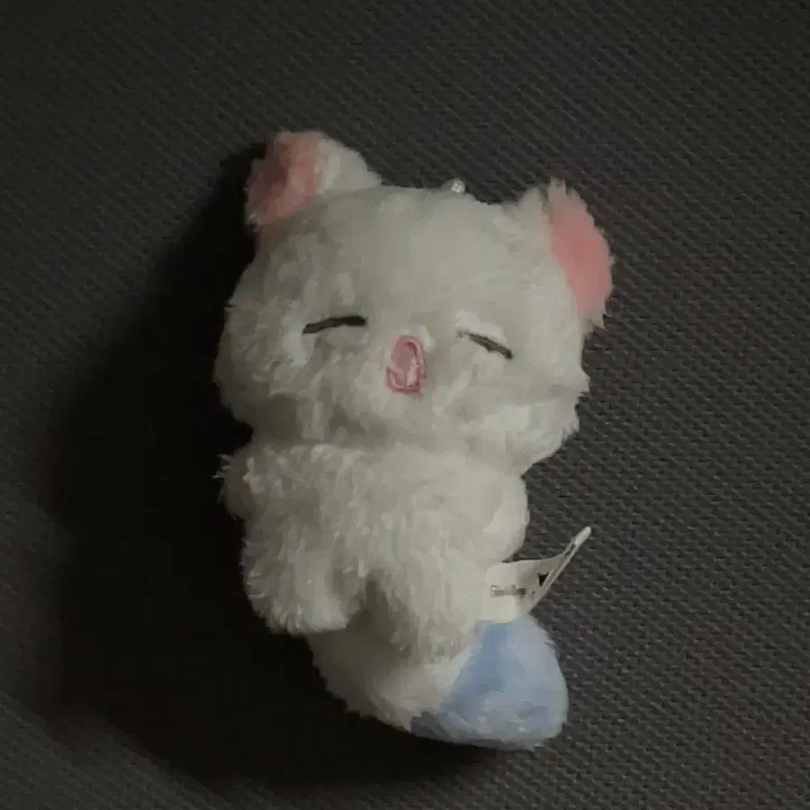 제베원 앤더블 장하오 짱누누 양도