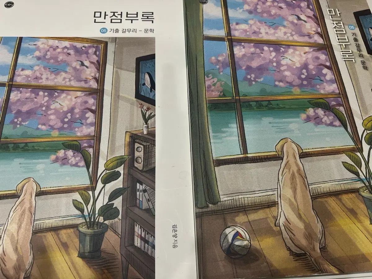 시대인재 강은양 기출 독서 문학