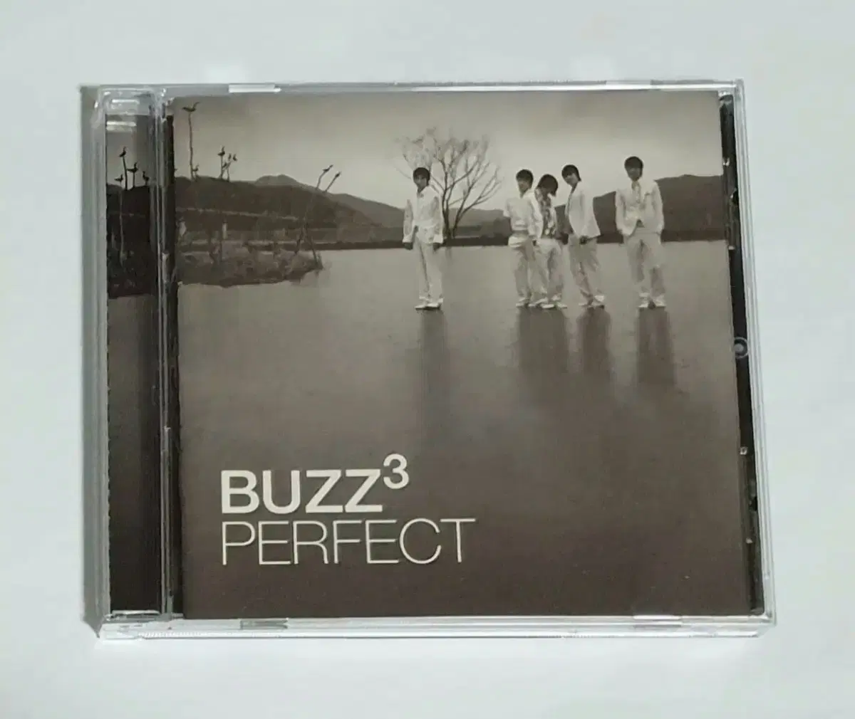 버즈 3집 Buzz Perfect 앨범 시디 CD