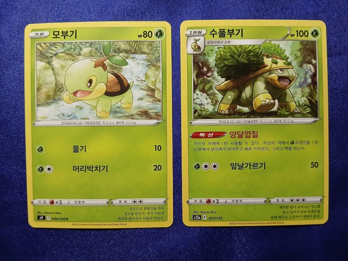 포켓몬 카드 모부기 수풀부기 2장 일괄