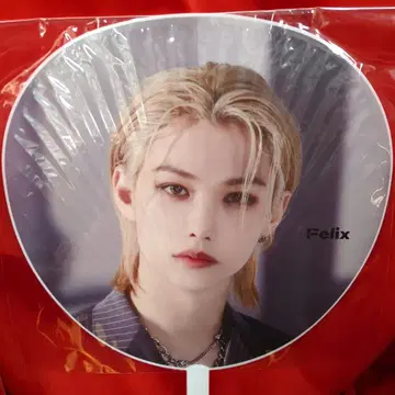 StrayKids 2023 5-STAR FELIX 부채 블랙