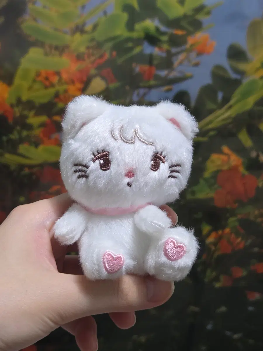 [무스/라떼] 미코 캐릭터즈 mikko 가챠 마스코트 키링 봉제인형 고양이 곰