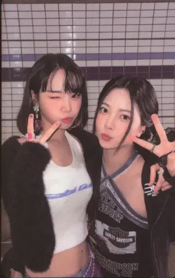 LE SSERAFIM COMPACT CHAEWON/EUNCHAE Antifragile