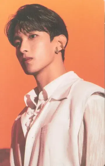SEVENTEEN 2022 WORLD TOUR 'BE THE SUN' DK 트레이딩 카드 30/82