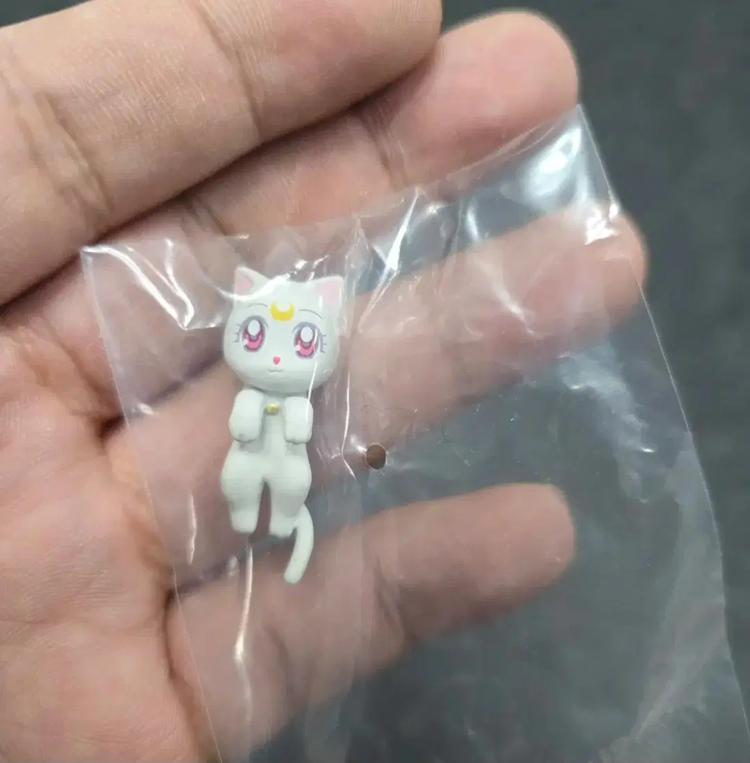 세일러문 가챠 케이블 허그코트 4탄 다이애나 피규어